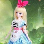 Красавица Алиса или новая звездочка