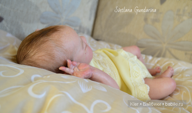 Knox Laura Lee Eagle