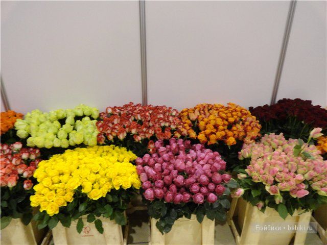 Бдж,мой личный бейбик