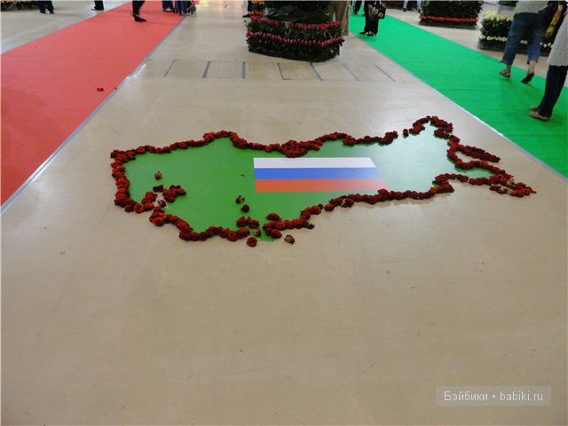 Бдж,мой личный бейбик