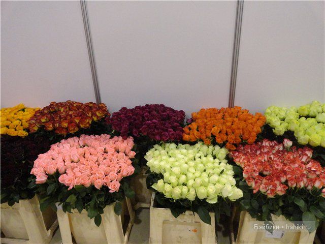 Бдж,мой личный бейбик