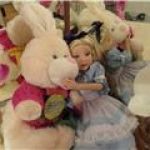 Алиса в зазеркалье или сказка о розах, 2