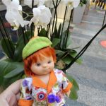 Мои любимые Паолочки!