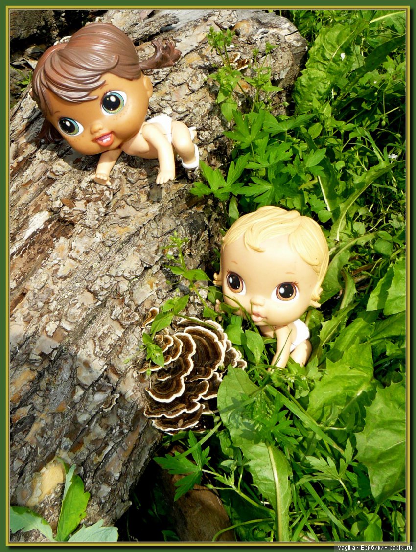 Во саду ли в огороде бабуля и внучата (фото 5)