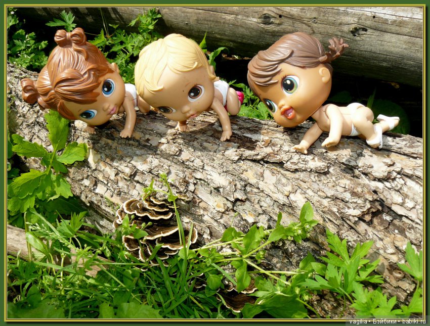 Во саду ли в огороде бабуля и внучата (фото 3)