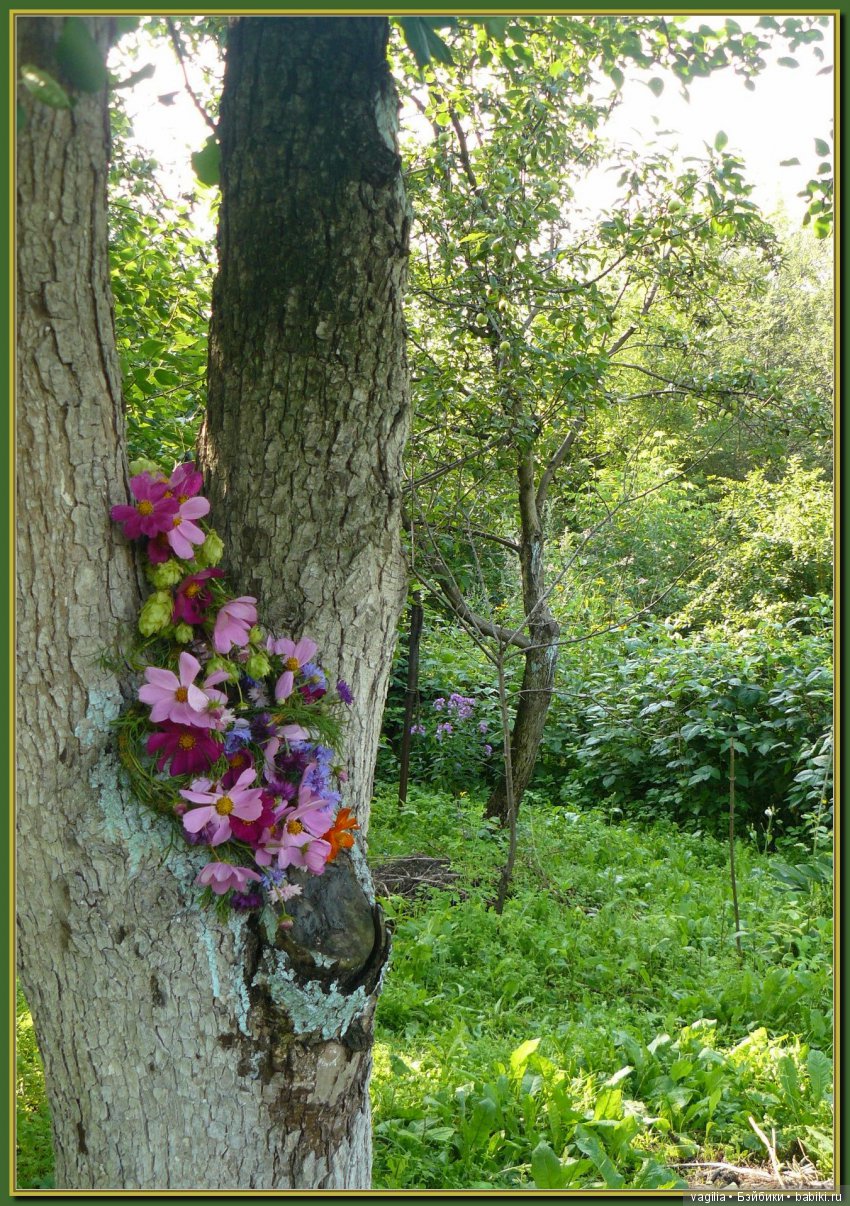 Во саду ли в огороде бабуля и внучата