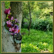 Во саду ли в огороде бабуля и внучата