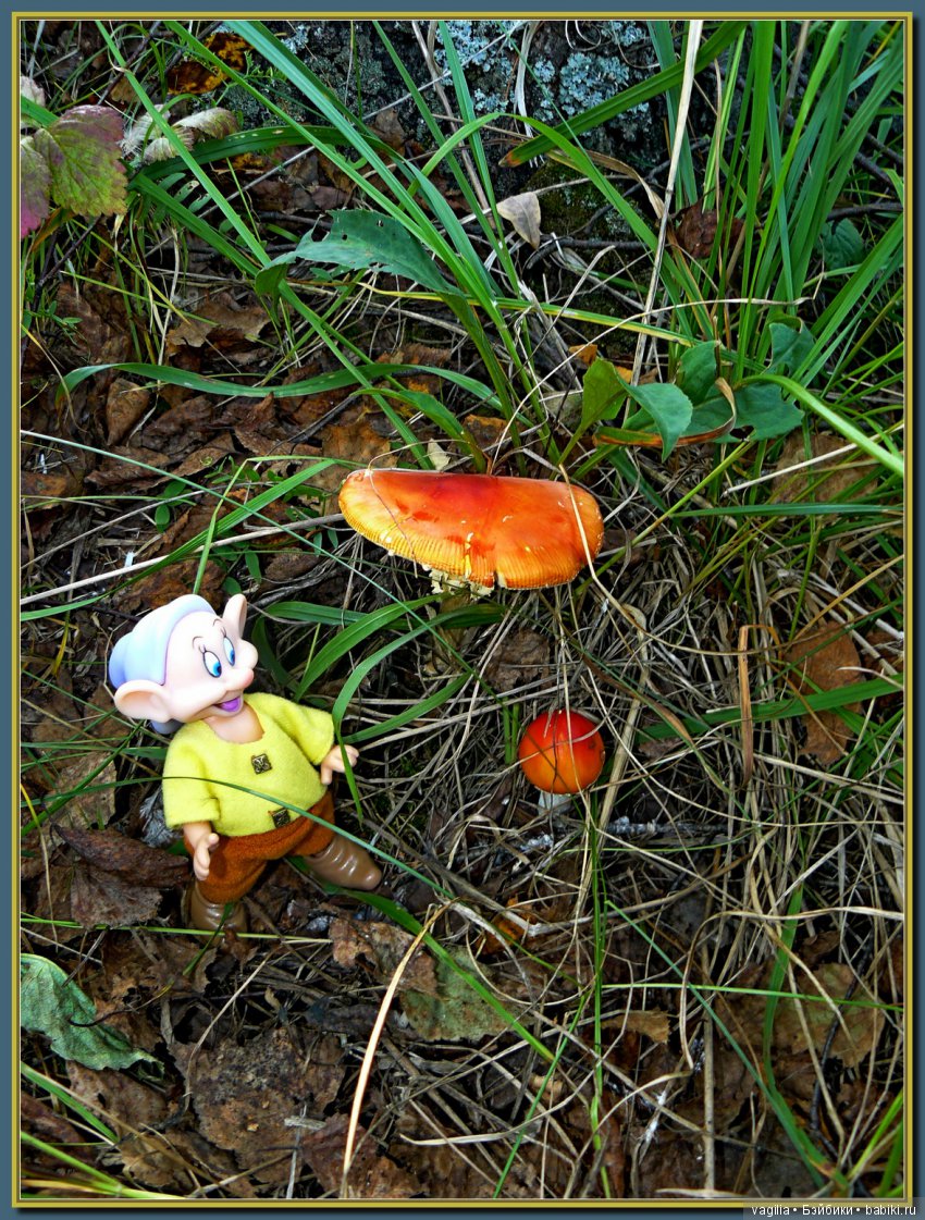 Сказочный лес — Красивая природа и цветы: фото пейзажей