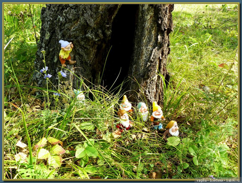 Сказочный лес — Красивая природа и цветы: фото пейзажей