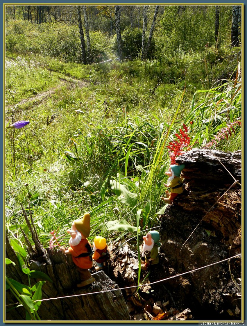 Сказочный лес — Красивая природа и цветы: фото пейзажей