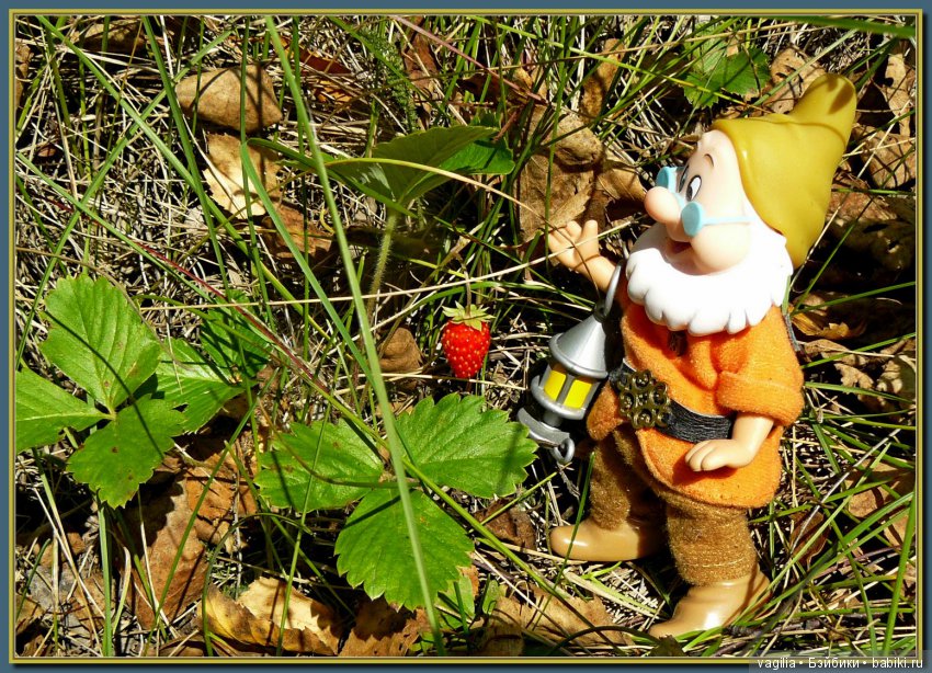 Сказочный лес — Красивая природа и цветы: фото пейзажей