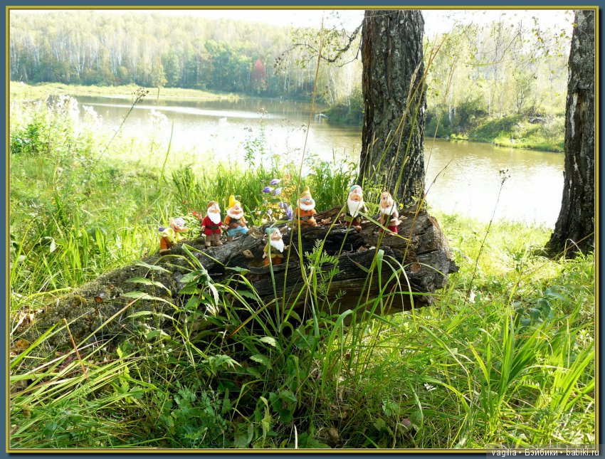 Сказочный лес — Красивая природа и цветы: фото пейзажей