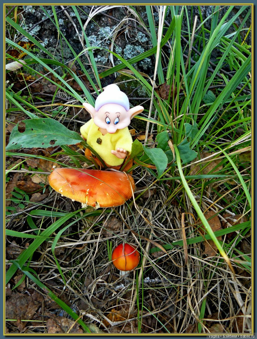 Сказочный лес — Красивая природа и цветы: фото пейзажей