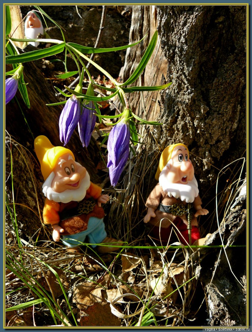 Сказочный лес — Красивая природа и цветы: фото пейзажей