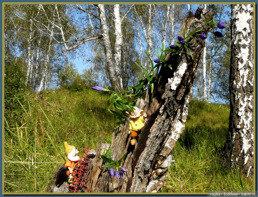 Сказочный лес — Красивая природа и цветы: фото пейзажей
