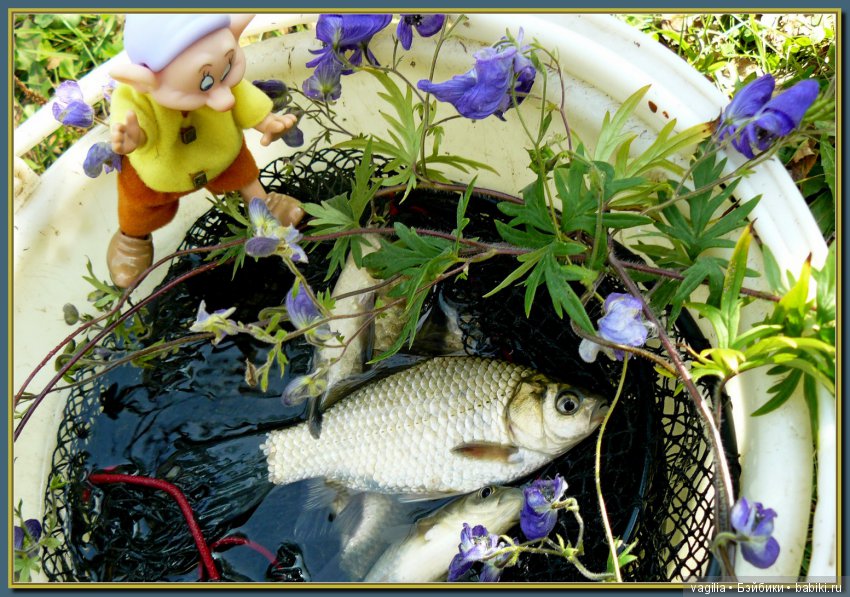 Сказочный лес — Красивая природа и цветы: фото пейзажей