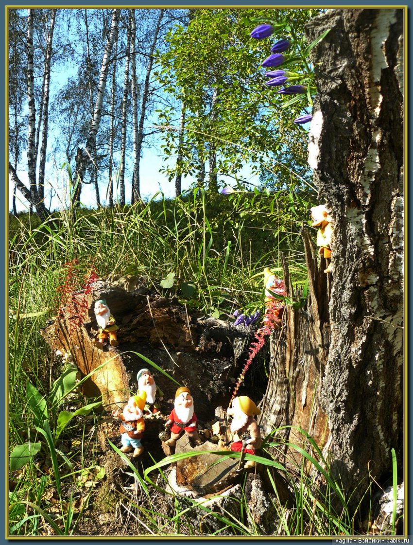 Сказочный лес — Красивая природа и цветы: фото пейзажей