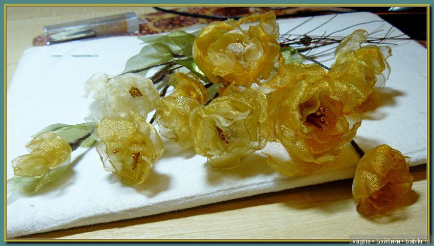 Побочный Эффект — Другие хобби и увлечения: сад (фото 6)