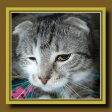 Бой был страшный