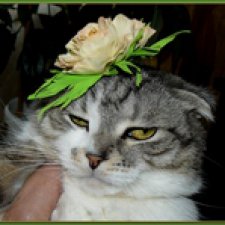 Кукла по имени Семён