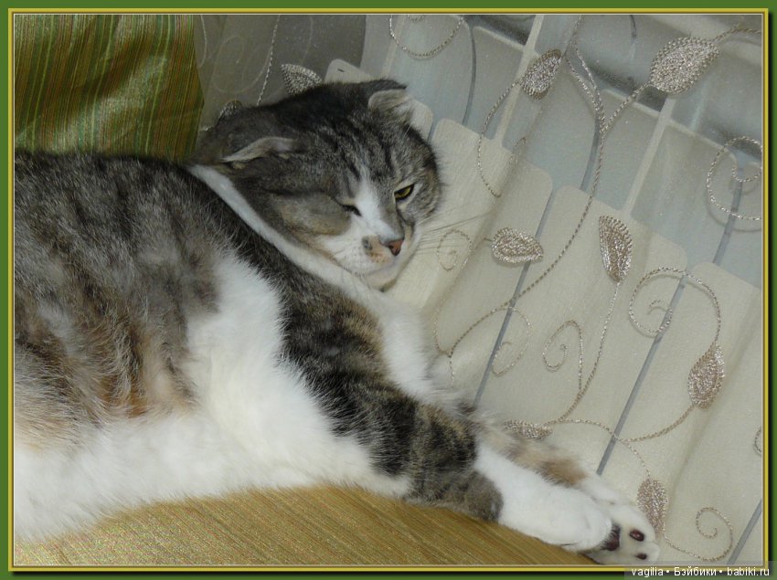 Скоро,скоро Рождество — Болталка и разговоры обо всем: жизнь