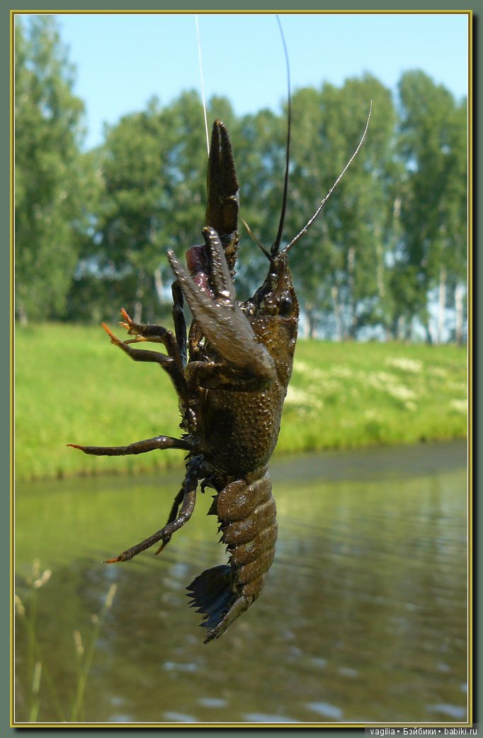 Рыбалка удалась на славу — Болталка и разговоры обо всем: жизнь