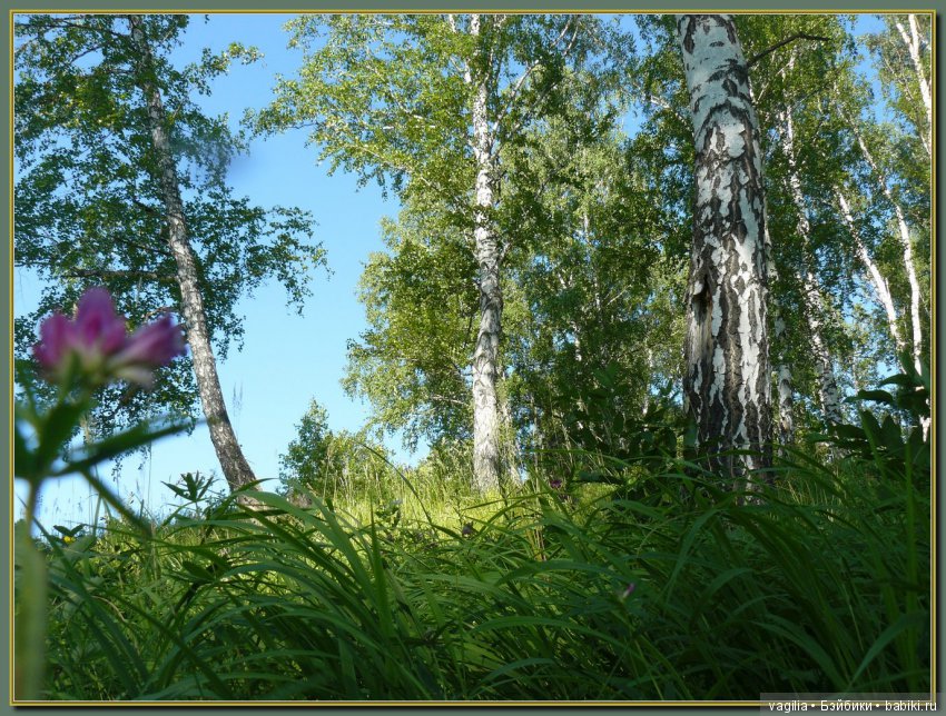 Рыбалка удалась на славу — Болталка и разговоры обо всем: жизнь (фото 6)