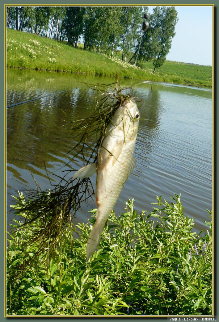 Рыбалка удалась на славу — Болталка и разговоры обо всем: жизнь