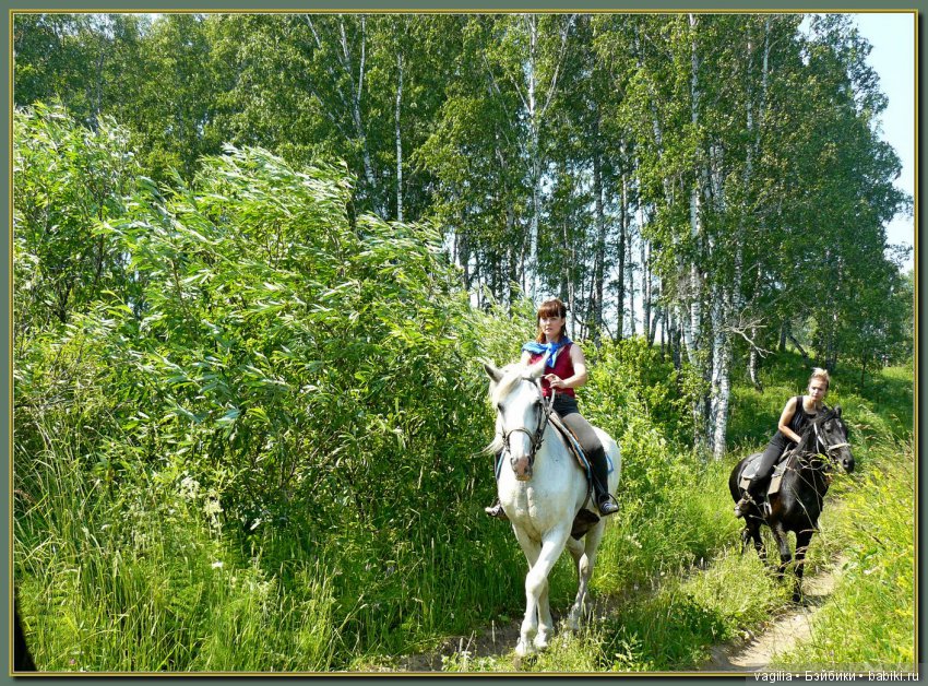 Рыбалка удалась на славу — Болталка и разговоры обо всем: жизнь