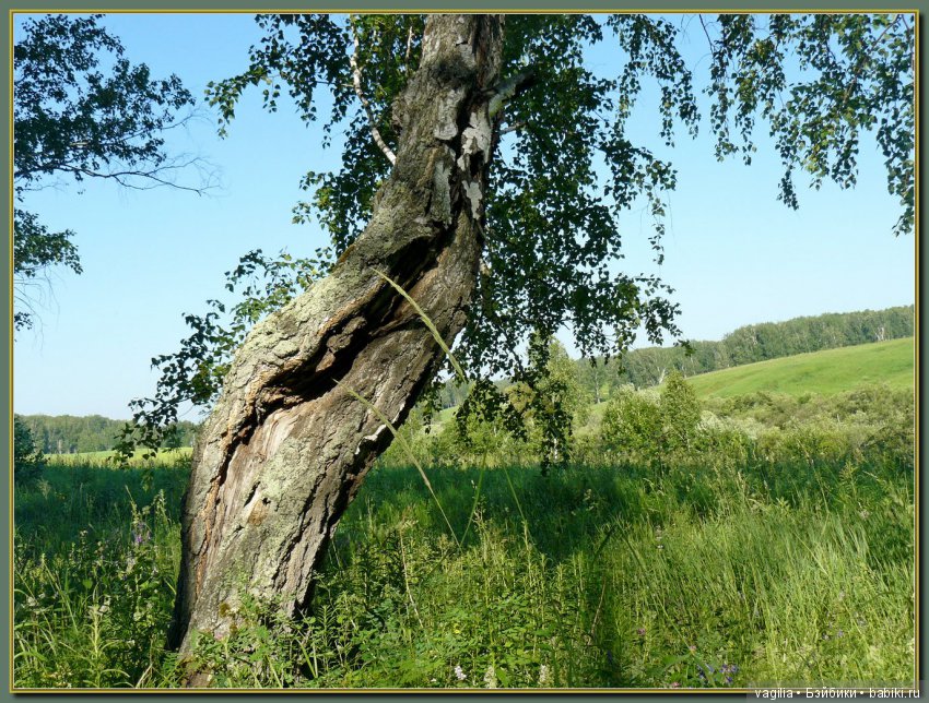 Рыбалка удалась на славу — Болталка и разговоры обо всем: жизнь (фото 3)