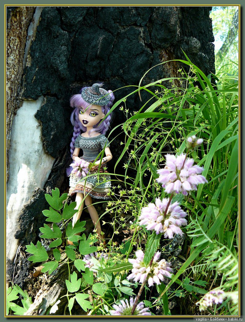 Рыбалка удалась на славу — Болталка и разговоры обо всем: жизнь (фото 9)