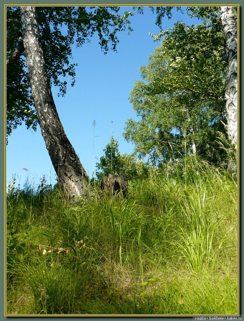 Рыбалка удалась на славу — Болталка и разговоры обо всем: жизнь