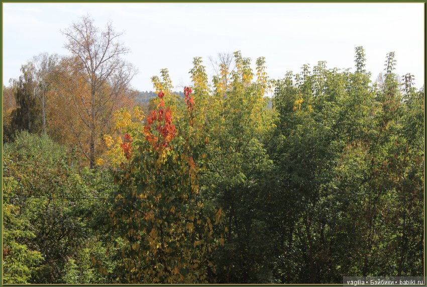 Удивительный дар красавицы Осени