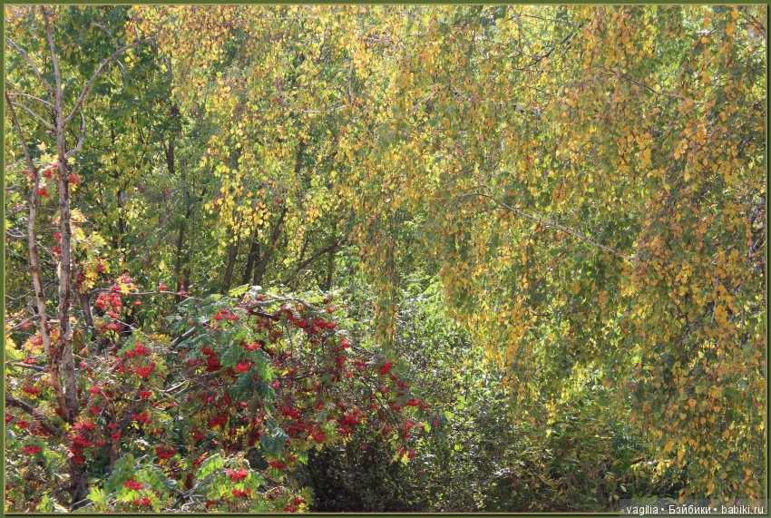 Удивительный дар красавицы Осени (фото 2)