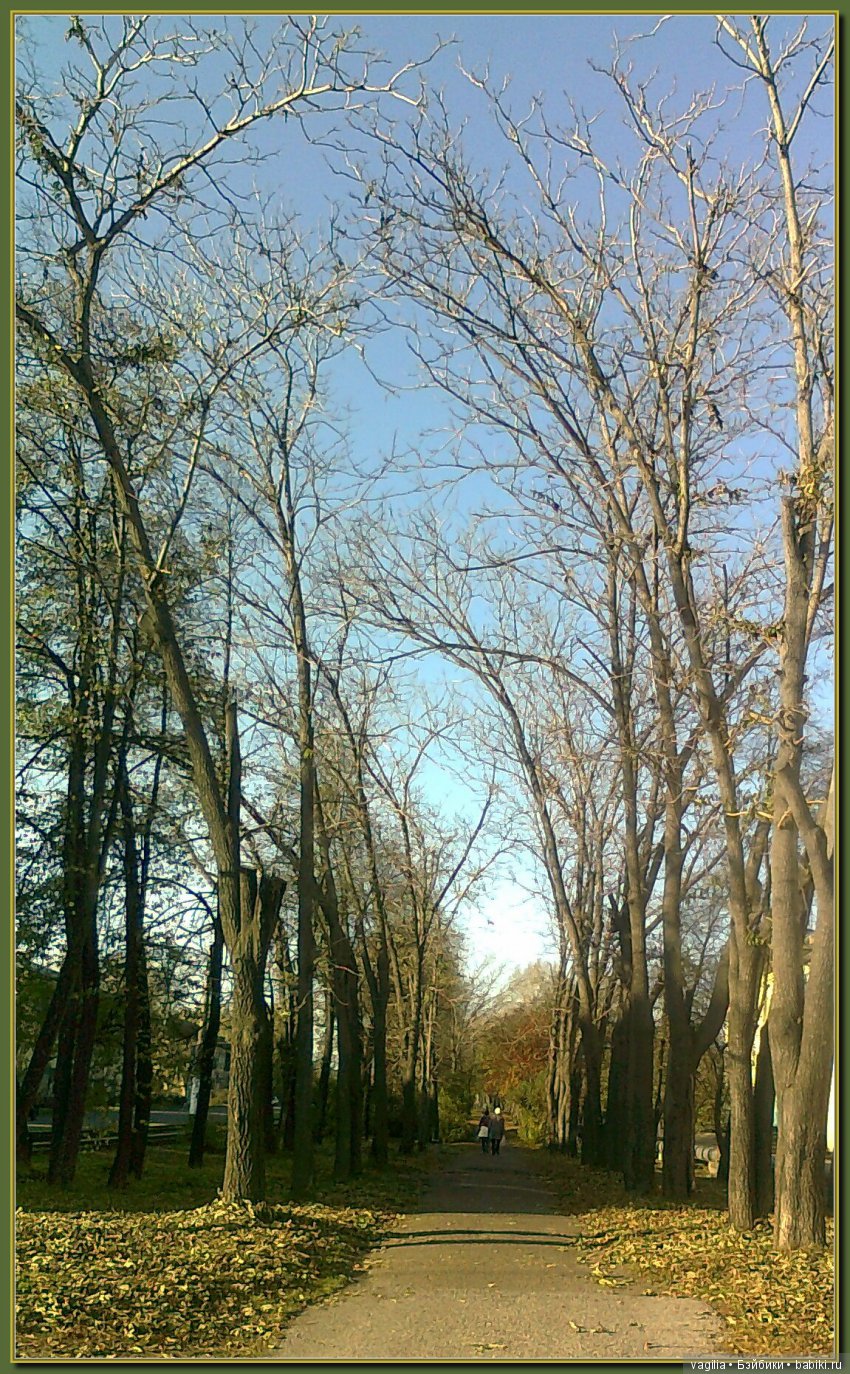 Удивительный дар красавицы Осени (фото 4)