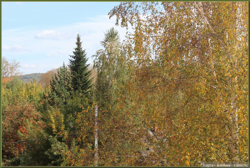 Удивительный дар красавицы Осени (фото 3)