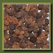 Удивительный дар красавицы Осени