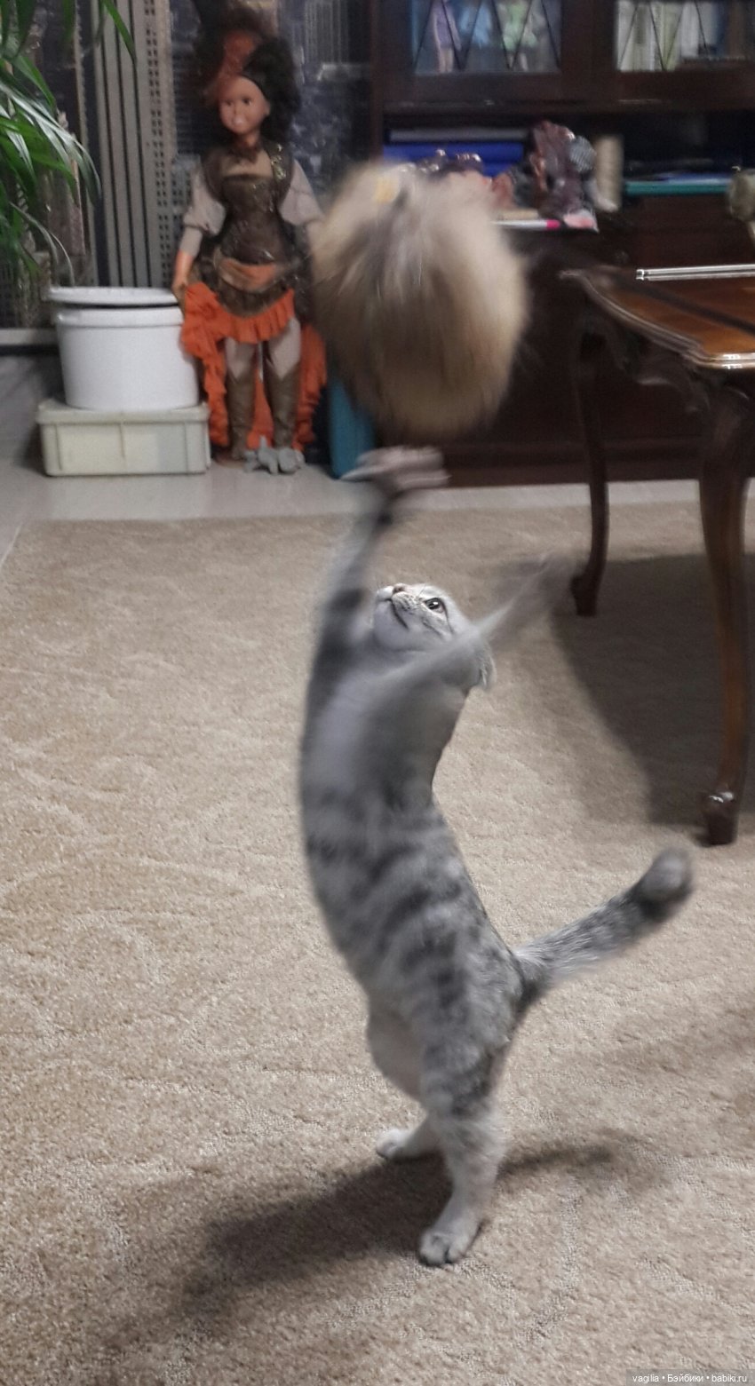 Друзья уходят, но жизнь подкидывает чудеса (фото 9)