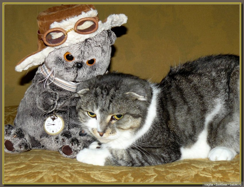 Друзья уходят, но жизнь подкидывает чудеса (фото 6)