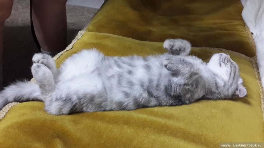 Друзья уходят, но жизнь подкидывает чудеса (фото 10)