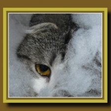 Друзья уходят, но жизнь подкидывает чудеса