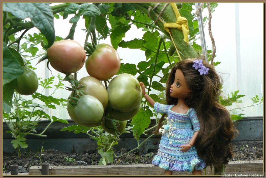 Ехали на дачу, попали в райский сад