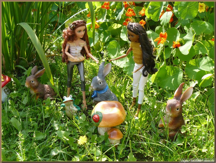 Ехали на дачу, попали в райский сад (фото 6)