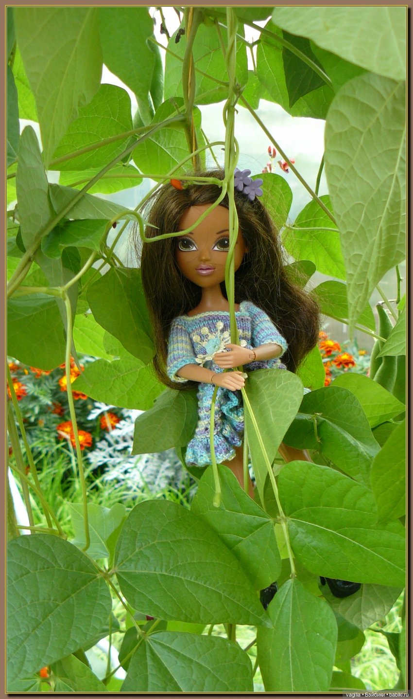 Ехали на дачу, попали в райский сад