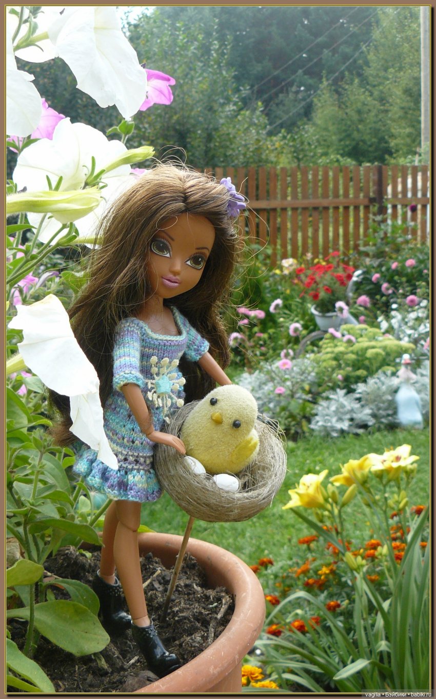 Ехали на дачу, попали в райский сад