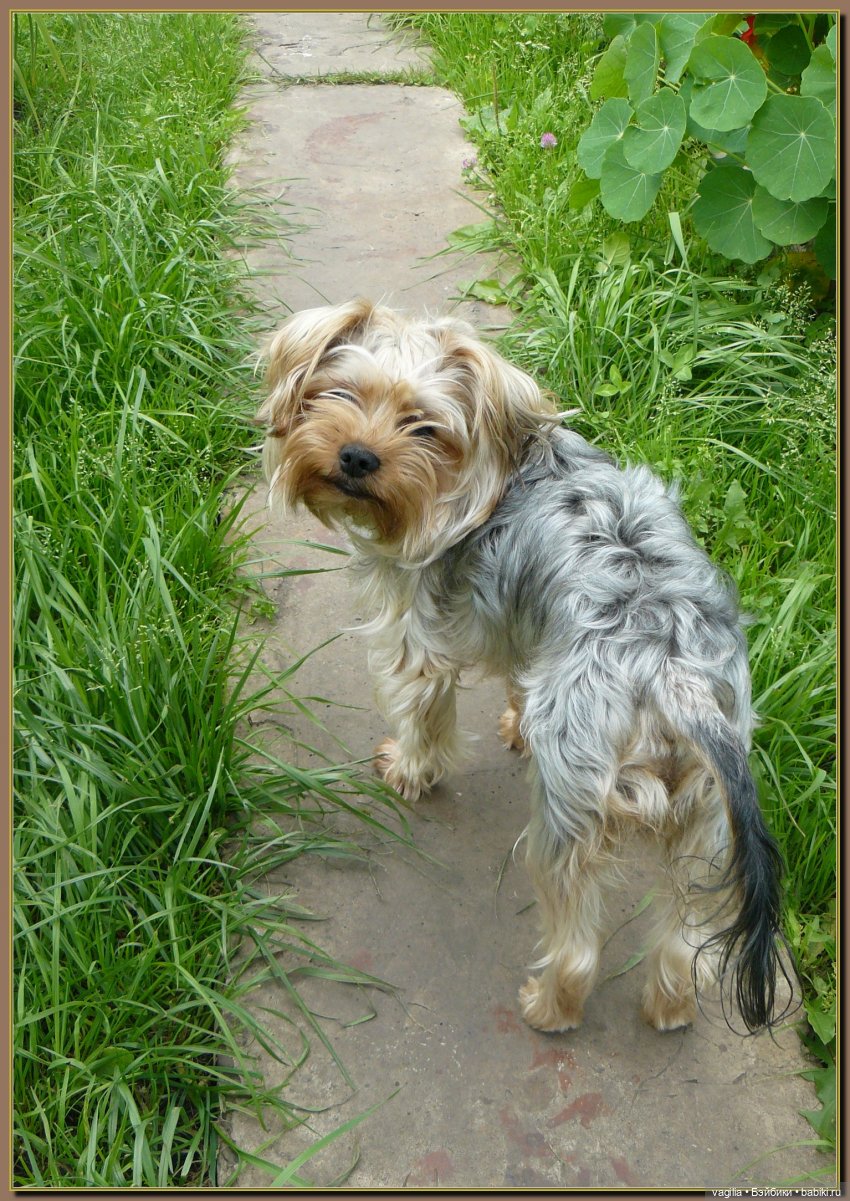 Ехали на дачу, попали в райский сад
