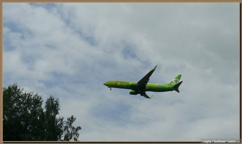 Ехали на дачу, попали в райский сад