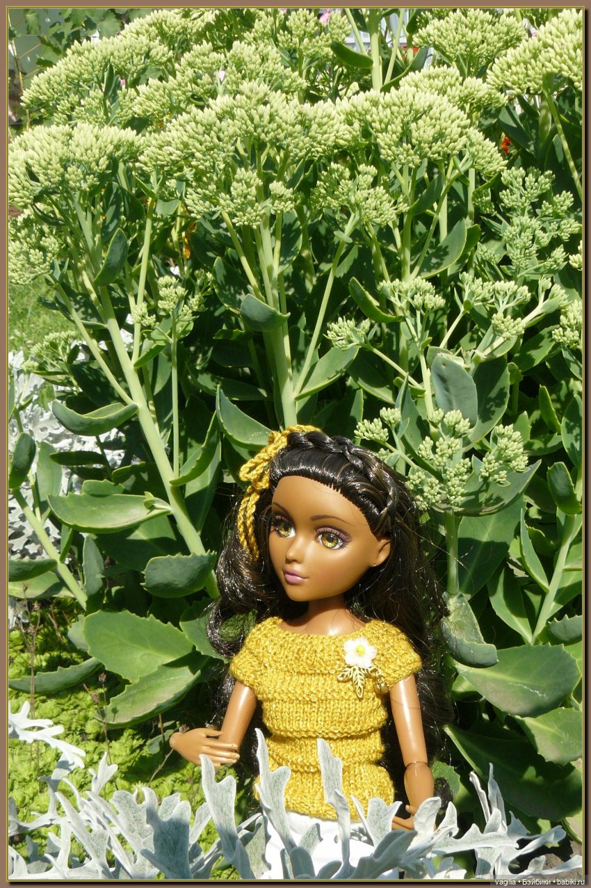 Ехали на дачу, попали в райский сад