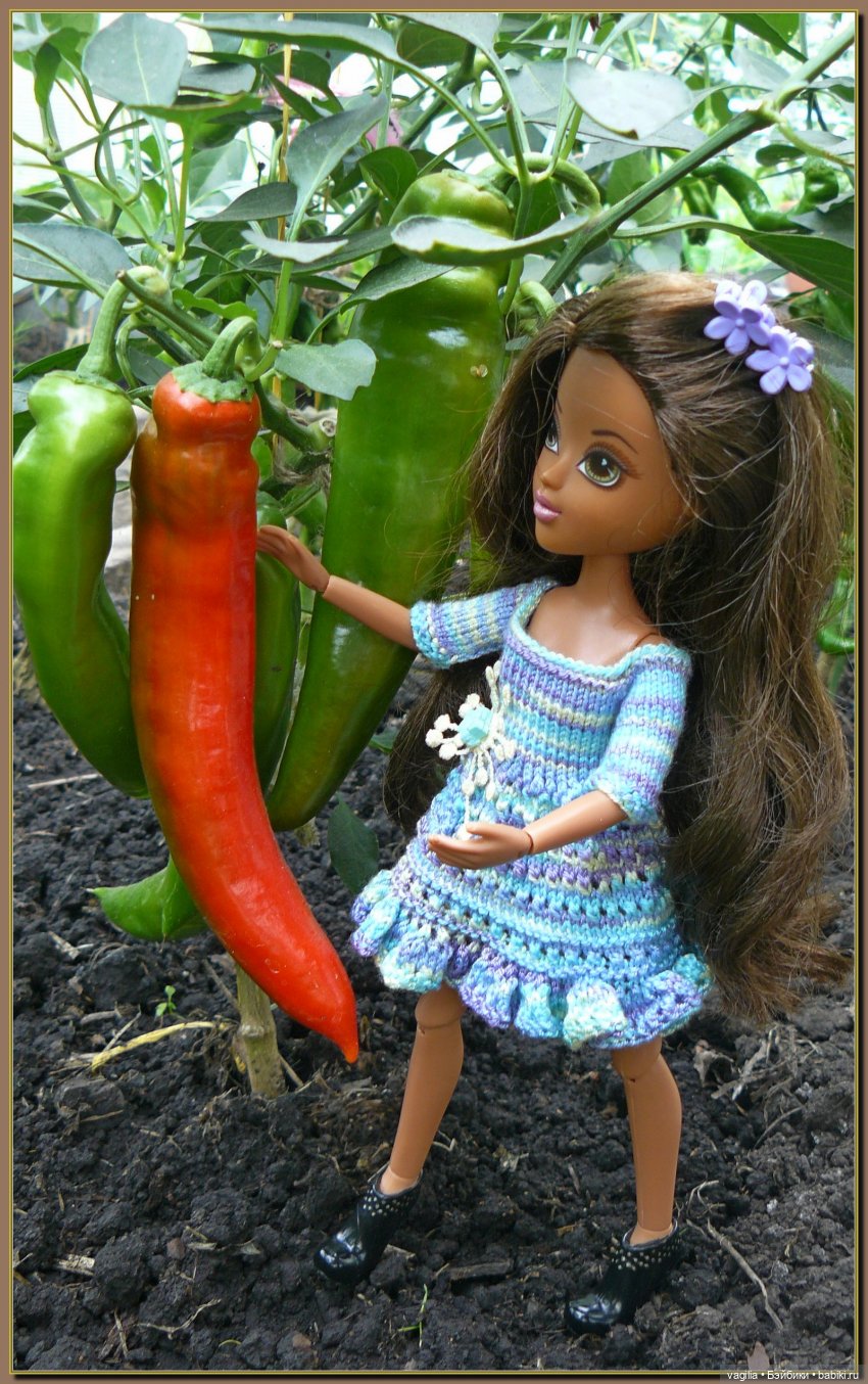 Ехали на дачу, попали в райский сад