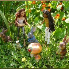 Ехали на дачу, попали  в райский сад